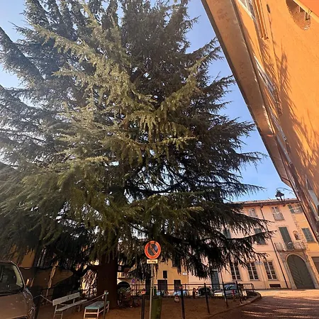 Albert-lago Maggiore Hébergement de vacances Luino