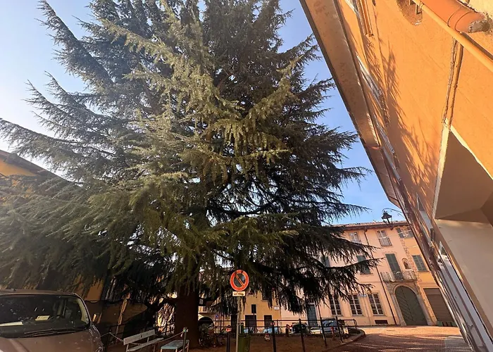 Albert-lago Maggiore Holiday home Luino